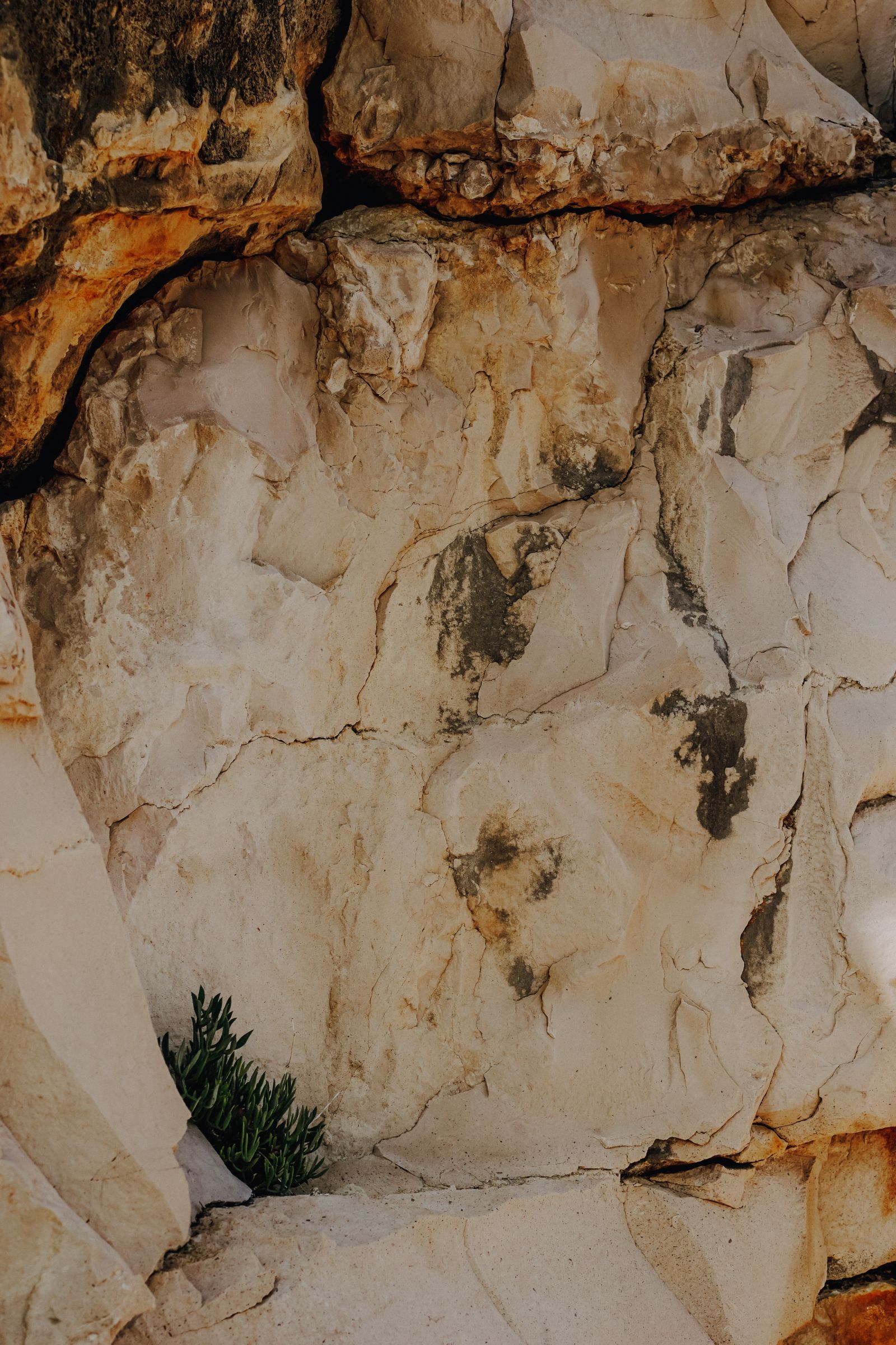 Close view of weathered cream-colored limestone